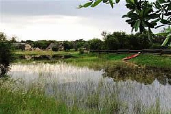 Pretoria Happenings