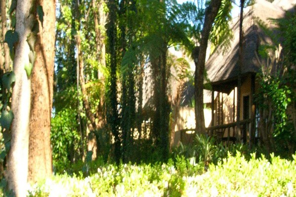 Fairview Tzaneen