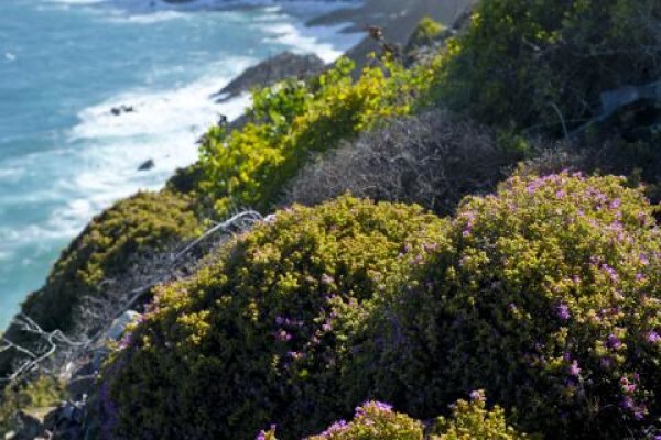 Visit Mossel Bay