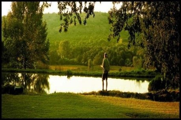 Budmarsh