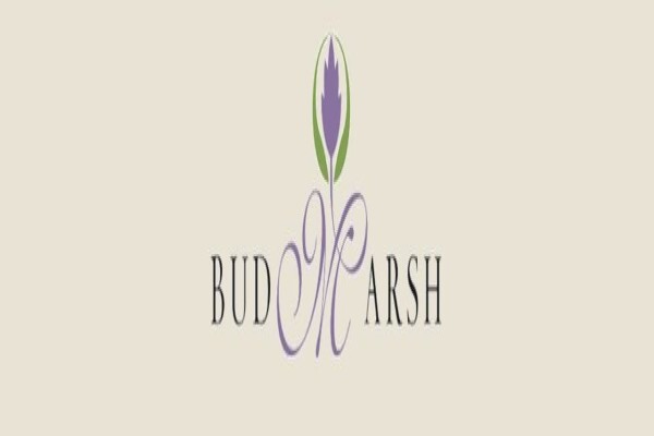 Budmarsh
