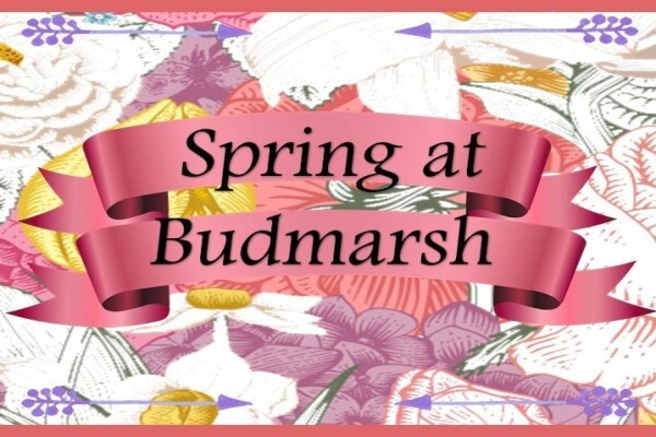 Budmarsh