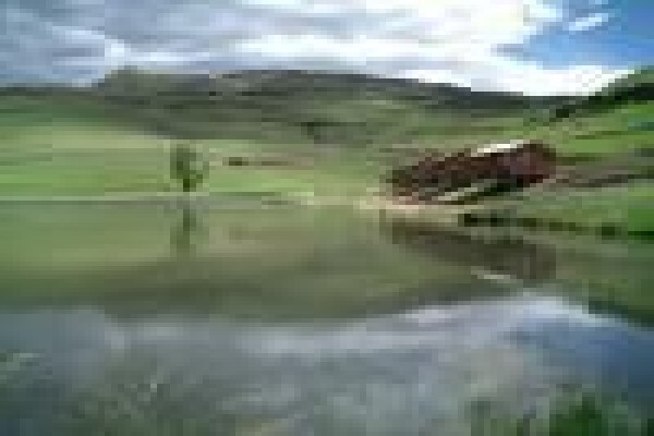 Eland Valley