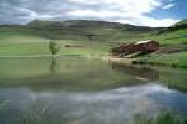 Eland Valley