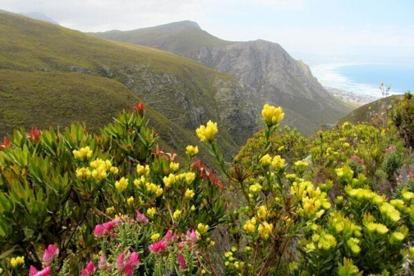 Fernkloof Lodge