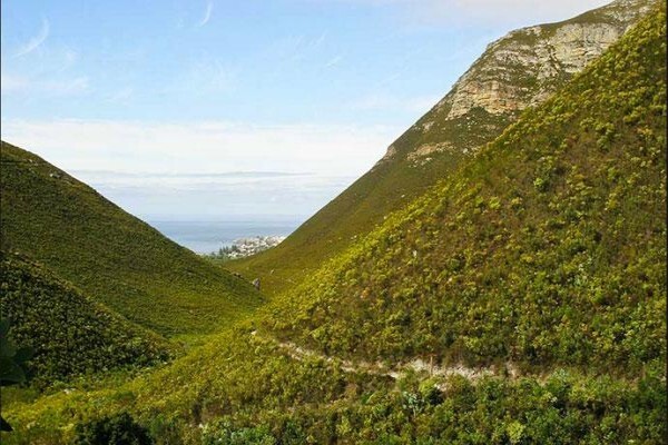 Fernkloof Lodge