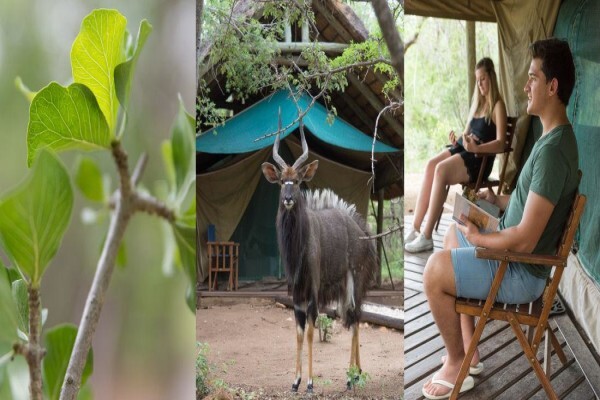 Kwa-Mbili Game Lodge