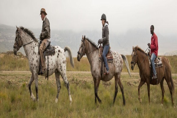 Wild Horses