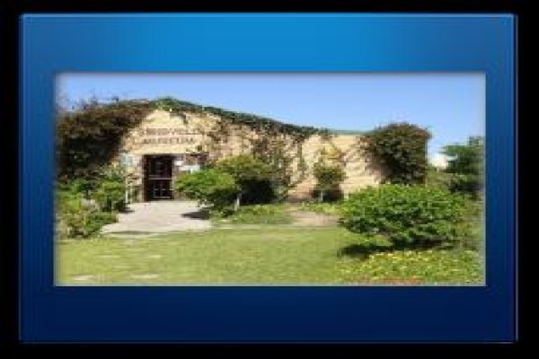 Sir Lambert'S Guesthouse
