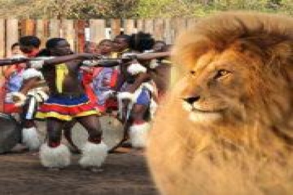 Aponi Travel (Pty) Ltd.