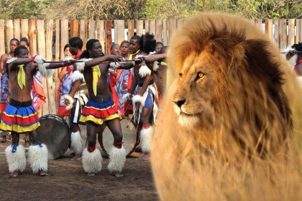 Aponi Travel (Pty) Ltd.