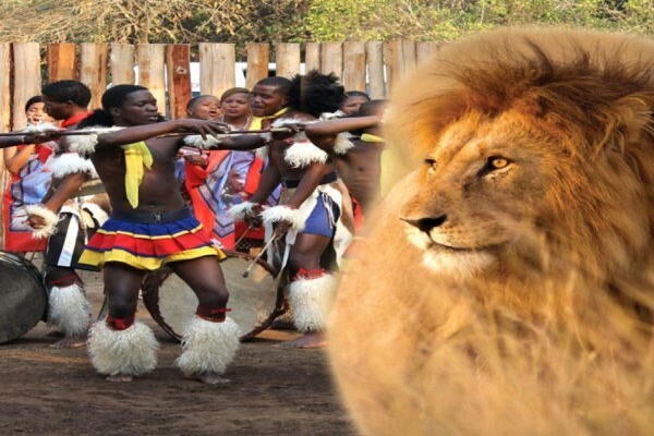 Aponi Travel (Pty) Ltd.