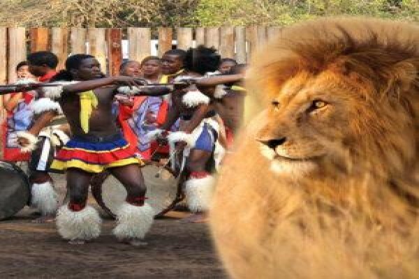 Aponi Travel (Pty) Ltd.