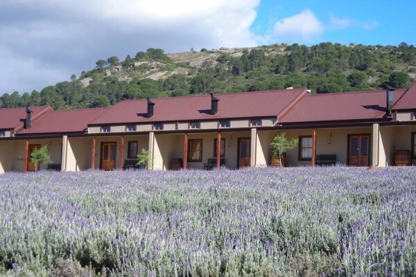Nine Oaks Accommodation And Venue