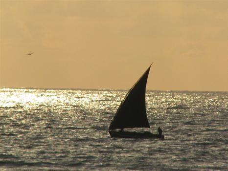 Mozambique Reservations