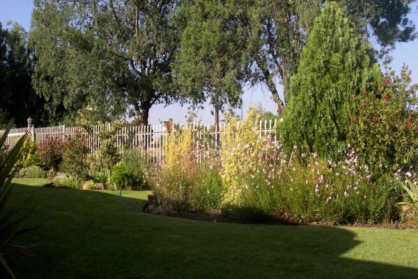 Birch Bush B&B