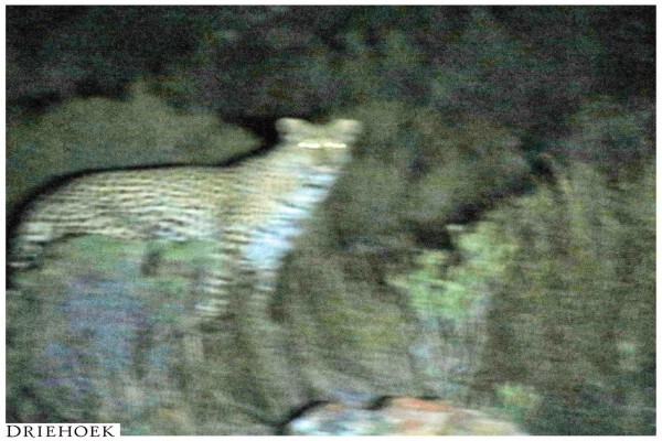 Cederberg Accommodation