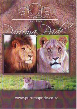 Puruma Pride