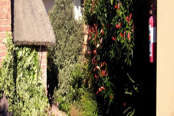 Birch Bush B&B