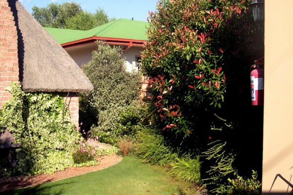Birch Bush B&B
