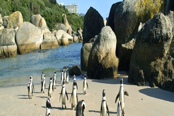Cape-Venues.Co.Za