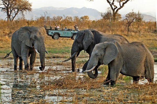 African Blue Tours