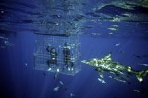 Anchor'S Rest Guest House