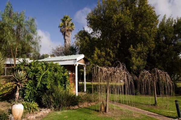Ancient Windmill Guesthouse And Conference Centre