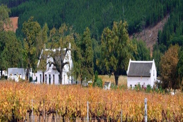 Cape-Venues.Co.Za