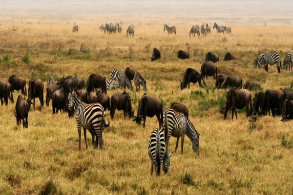 Discover South Africa