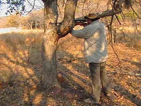 Yiwarra Game Lodge