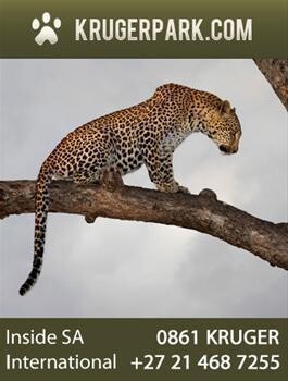 Krugerpark.Com