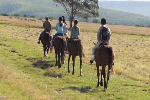 Plett Game Reserve