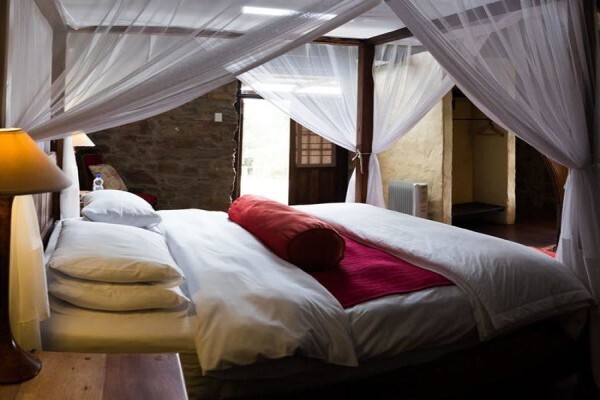 Plett Game Reserve