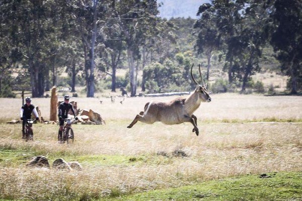 Plett Game Reserve