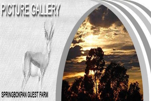 Springbokpan Guest Farm