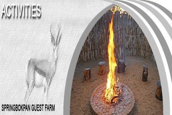 Springbokpan Guest Farm