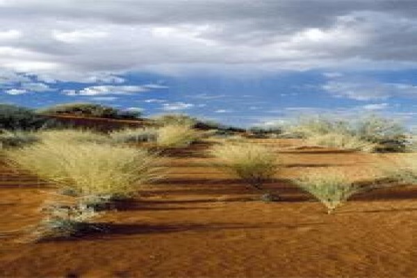 Springbokpan Guest Farm