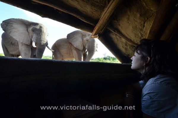 Victoria Falls Guide