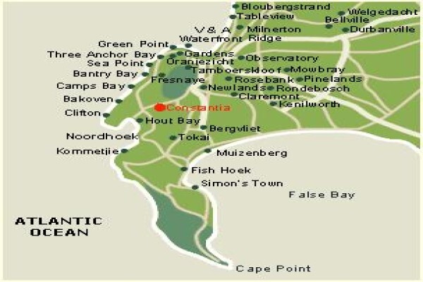 Southernwood
