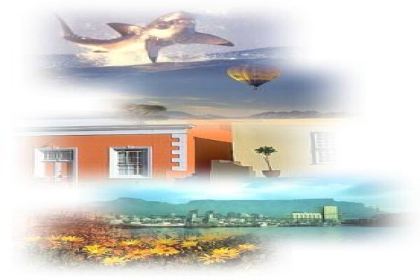 African Theme Tours