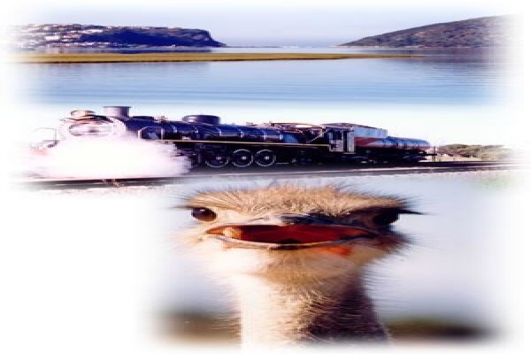 African Theme Tours