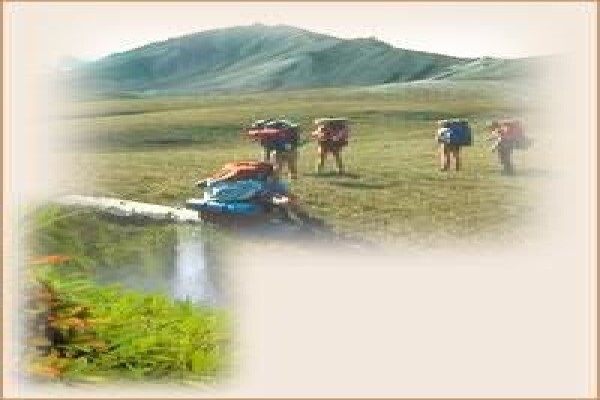 African Theme Tours
