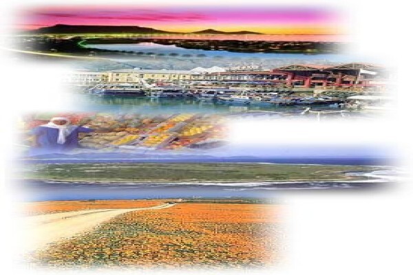African Theme Tours