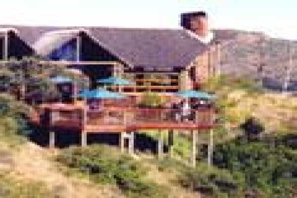 African Theme Tours