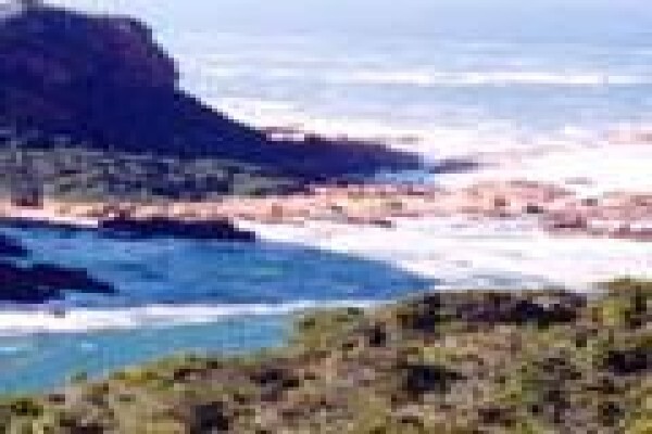 African Theme Tours