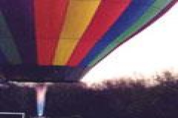 African Theme Tours