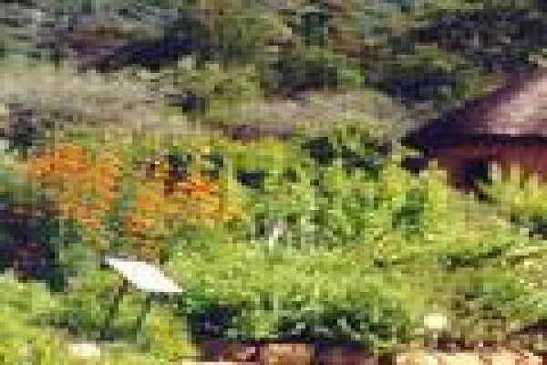 African Theme Tours