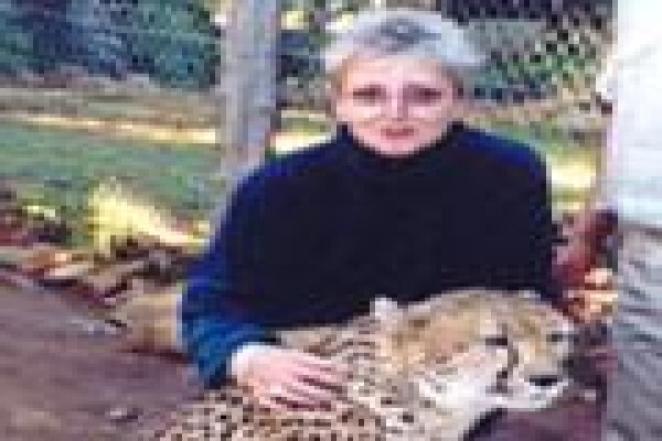 African Theme Tours