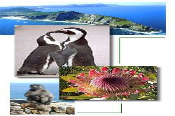 African Theme Tours